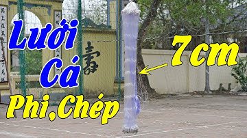 Lưới Đánh Cá 3 Màn Chuyên Săn Chép, Rô Phi Từ 4 Ngón Tay | Cao 1m5 x 90m x 7cm sợi 0.15 Thuyền Buồm