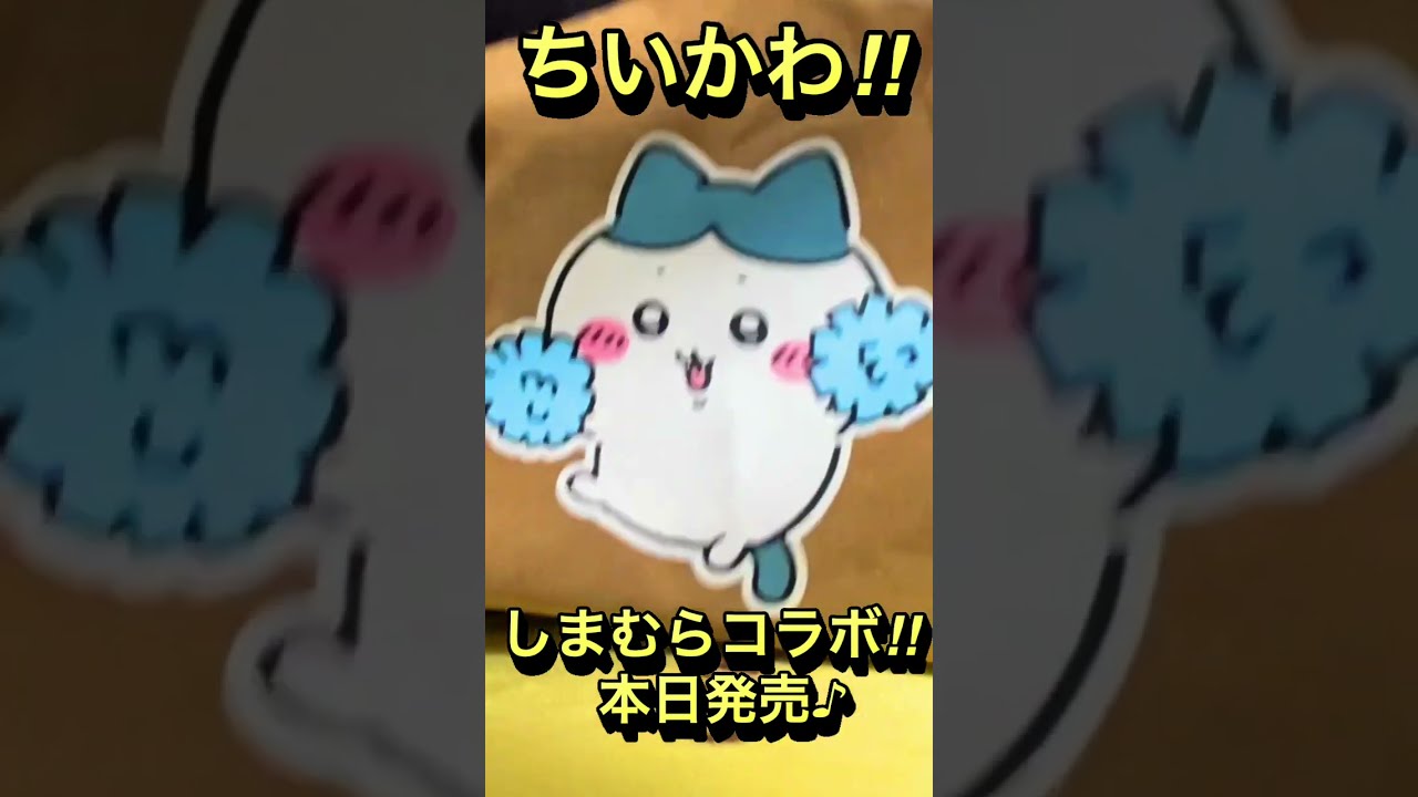≪まとめ売り≫ちいかわ　しまむらコラボ　うさぎ ちいかわ ハチワレ ちいかわ】ちいかわしまむらコラボ5月27日（土）開催決定