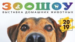 ЗООШОУ 2019: впечатления