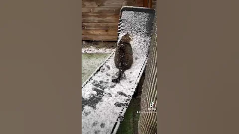 sneeuw in Nederland!