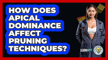 How Does Apical Dominance Affect Pruning Techniques? - LearnToDIY360.com