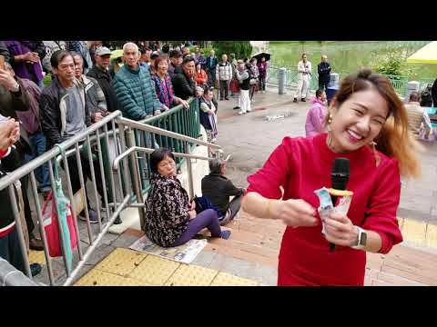 屯門公園三公主 2019年3月9日 妙妙 擁抱你離去