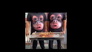 Monkey Chef