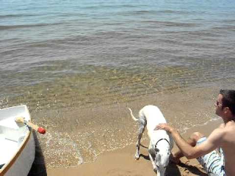 Mazzii at the beach