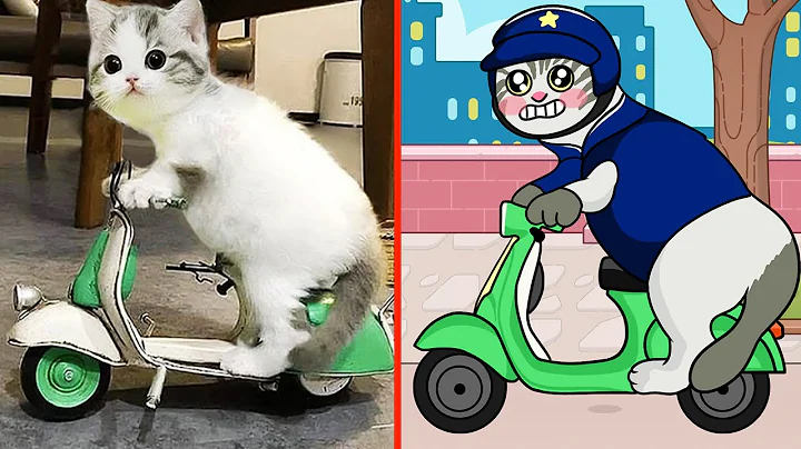 Video 5808791: cat drawing cartoon, funny cat cartoon animals, funny animals funniest cats