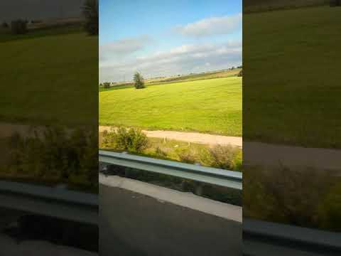 ودي اخرة التقليد مش لكل الاحجام انتي رايحة فين ارجعي