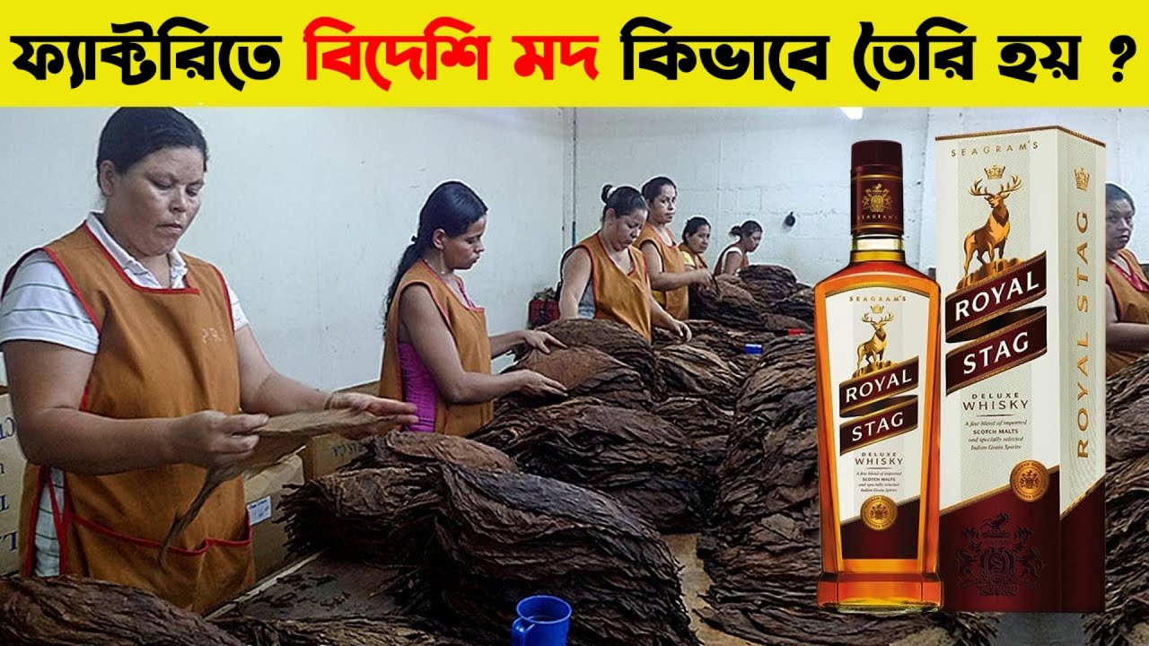 দেখুন ফ্যাক্টরিত কিভাবে বানানো হয় বিদেশি মদ l How Whisky Making in Indian Factory