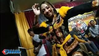 TATU - COVER DEN BEY MAHARANI - DOLALAK NEW PUTRI ARUM