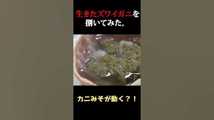 【カニみそが動き出す？！】生きのいいズワイガニをさばいてみた結果   ！！  #shorts