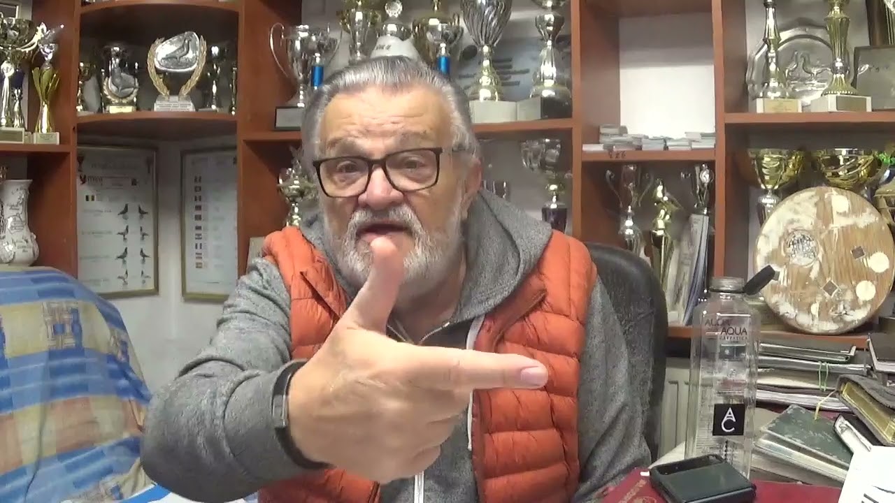 Columbofil dl Carmazan Ioan Bucuresti Romania istoria masculului RO 16201 2013