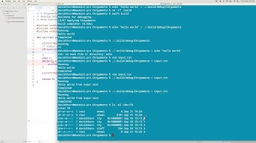 #147 C Programming - Reading Data From stdin