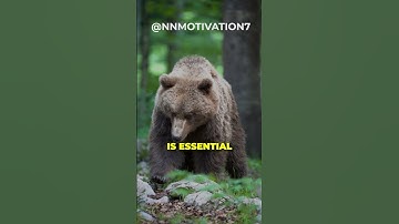 GRIZZLY MENTALITY! #shorts #quotes