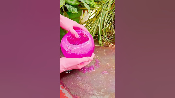 Purple Water Balloons: A Splash of Color!