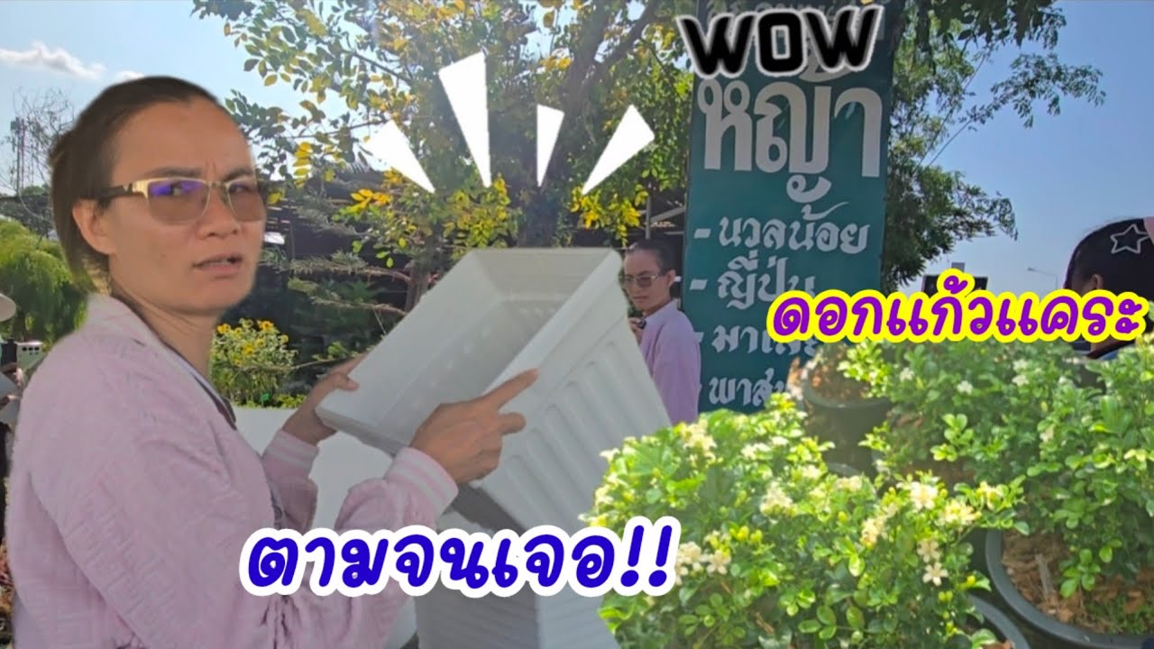 ดอกแก้วเต็มลานปู่แน่งานนี้...สว.เตรียมปลูกกันยาวไป#ป้าแต๋นชาเเนล 