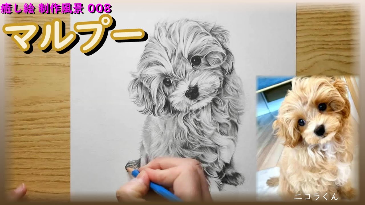 制作風景008】 綺麗なお顔の男の子 マルプーの絵 - YouTube