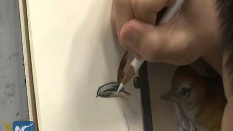 How do Chinese-American kids spend their summer holiday?