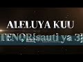 ALELUYA KUU - SAUTI YA 3 (TENOR) Lyrics video Mp3 Song