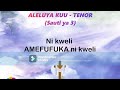 ALELUYA KUU SAUTI YA 3 TENOR Lyrics Video