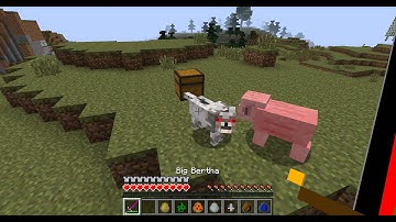 MINECRAFT - Damage Indicator Mod Showcase [KID FRIENDLY]