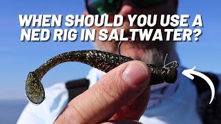 When To Use A Ned Rig For Inshore Saltwater Fishing