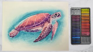 How To Paint A Sea Turtle Paint With Me Using Derwent Inktense | Livestream