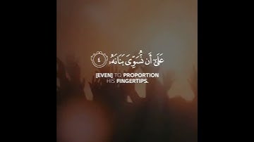 سورة القيامة   القارئ طارق محمد