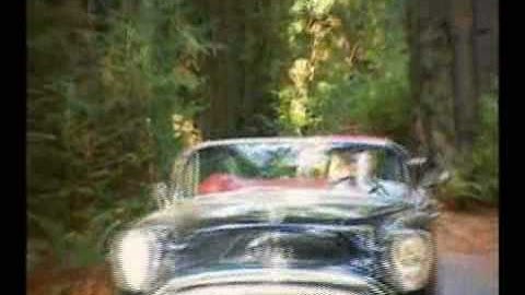 Avenue of the Giants in California