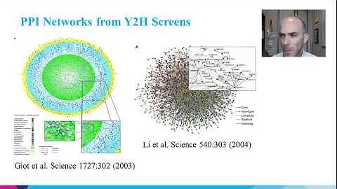 NASB Fall 2013 Lecture 8  - Types of Biological Networks