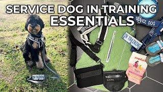 SERVICE DOG IN TRAINING ESSENTIALS