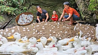 Harvest Duck Eggs Goes to the market sell - Cooking - Chúc Tòn Bình