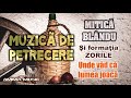 PÂI&#39; UNDI VĂD CĂ LUMEA JOACĂ - MUZICĂ DE PETRECERE - MITICĂ BLÂNDU