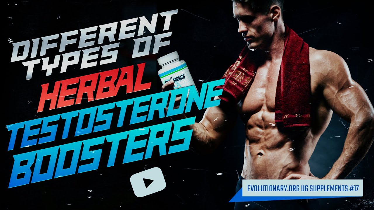 Evolutionary.org UG Supplements 17 - Different types of herbal testosterone boosters