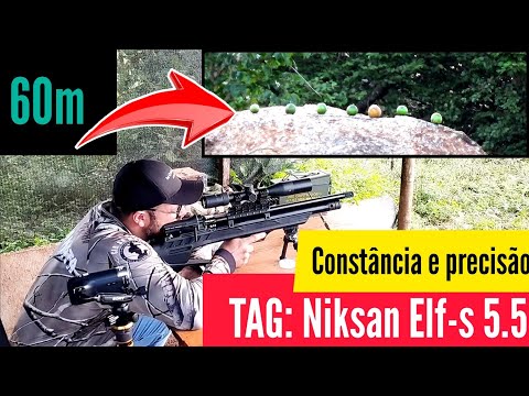 TAG - PCP Niksan Elf-s 5.5: Constância e precisão