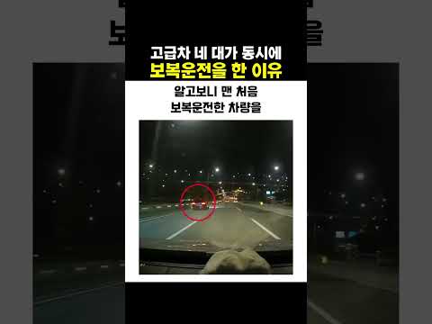 고급차 4대가 동시에 보복운전을 한 이유 #블랙박스 thumbnail