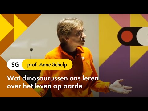 Video: Het Leven Bleek Dezelfde Leeftijd Te Hebben Als De Aarde - Alternatieve Mening