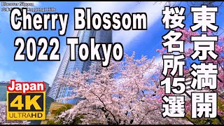 🇯🇵4K  Tokyo Cherry Blossom（sakura) 2022 Japan 東京の桜 満開 花見 東京観光 旅行 案内  千鳥ヶ淵 新宿御苑 桜の名所 日本の桜