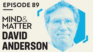 Neuroscience of Aggression, Sex, Behavior, Hormones, Emotion & Consciousness | David Anderson | #89