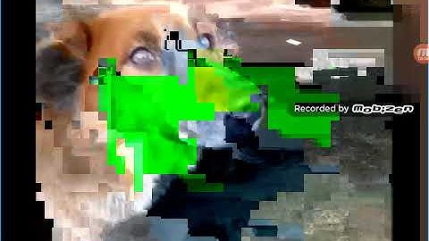 Mobizen Screen Record Glitch