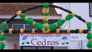 Cortejo "A Evolução dos Lacticínios nos Cedros"- Ilha do Faial, Açores