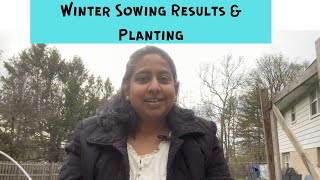 Winter Sowing Results & Planting| Beets & Turnips