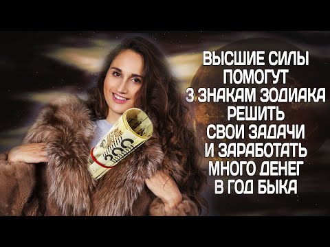 Высшие силы помогут