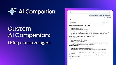 Custom AI Companion: Using a custom agent