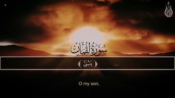 سورة لقمان كاملة 😴🎧 القارئ شريف مصطفى ☘️🤍