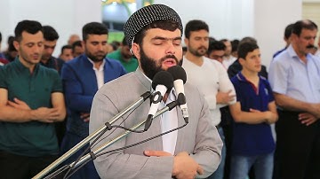 سورة القدر... القارئ بيشه وا قادر الكردي 🌸