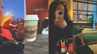 The Best Pumpkin Chai Crate & Barrel, Diptyque Visit More