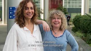 From Lab to Bedside: Translational Medicine at TAU