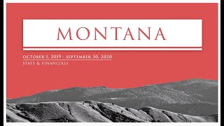 Download Lagu Montana 2020 Annual Report MP3