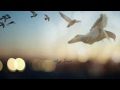 ياذا الحمايم ياذا الحمايم