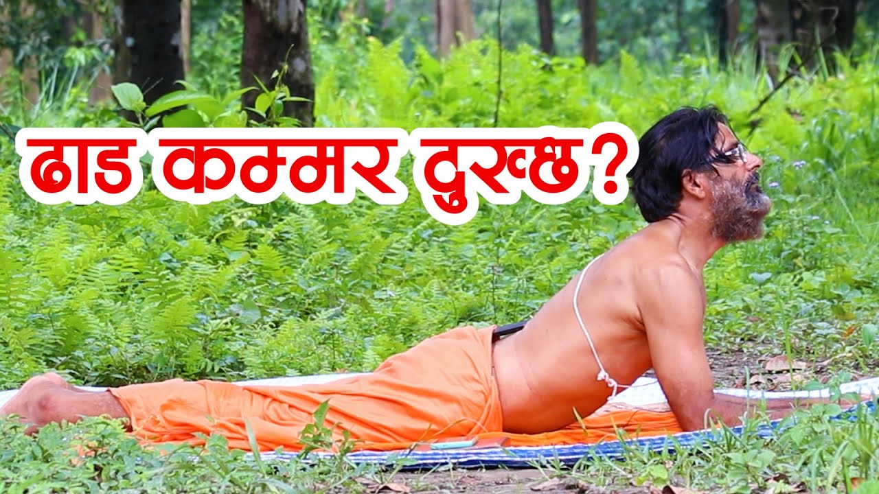 ढाड दुखाईको उपचार आँफै गर्नुहोस ... यसरी || Back Pain Treatment Yoga || Niko Nepal