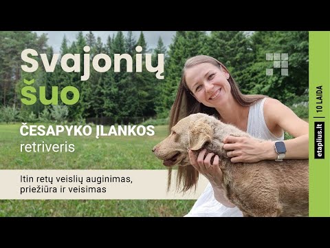 Video: Česapiko įlankos žemėlapiai